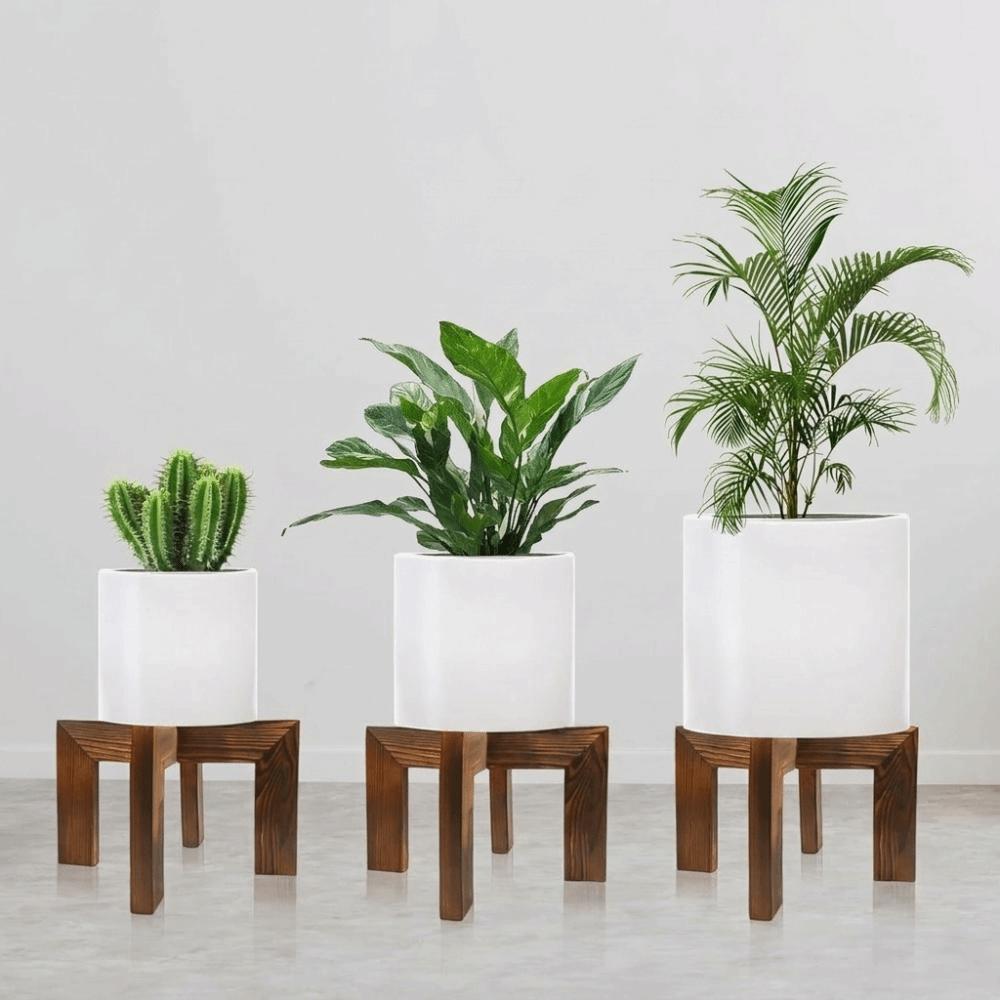 Kreuzrahmen Holz Pflanzenständer Kiefernholz Tischplatten Pflanzenregal Indoor Blumentopfhalter Schreibtisch Display