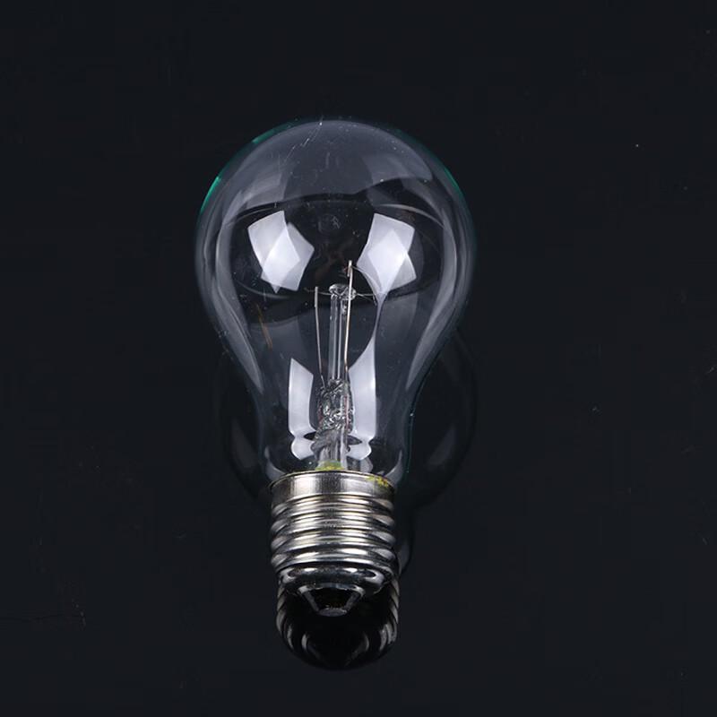 Tanying E27 Incandescent Light Bulb