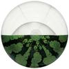 Igarashi Beach Ball 60cm Realistic Half Watermelon Ball, Inflated Size Approximately 50cm, BBC-60H