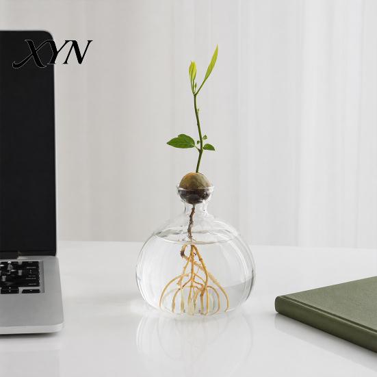 Pflanzenhalter aus Glas Hydroponik-Pflanzen Vase, Transparentes Vermehrungsterrarium, Schreibtisch Dekorative Klare Topf Pflanzgefäß für Zuhause Büro Tischmittelstück