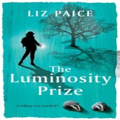 The Luminosity Prize by Liz Paice Paperback Book 9781739927004