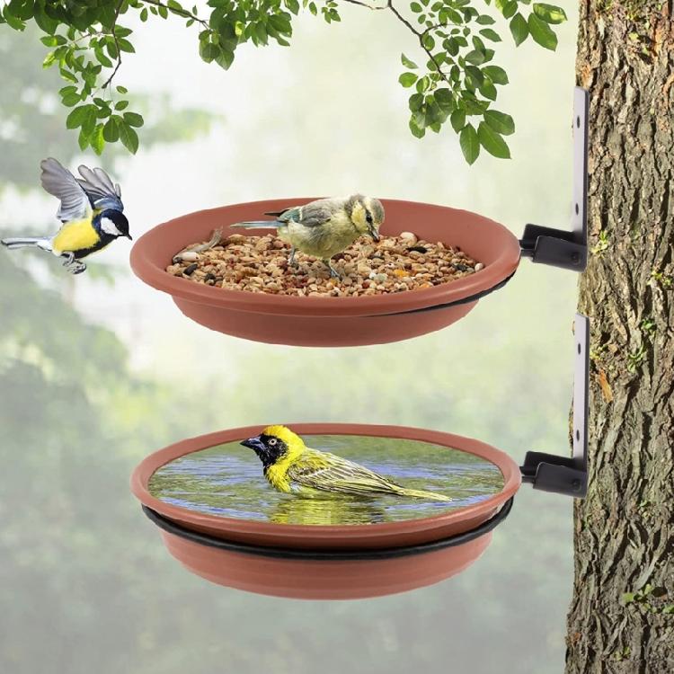 Kolibri-Futtertabletts Kolibri-Tränke Hängender Kolibri-Futterspender
