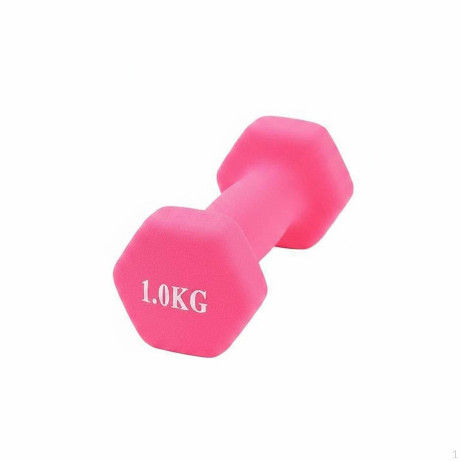 Cast Iron Dumbbell Floor Friendly Hex Hand Weight for Beginners, Women, Home Workout, Gym
