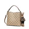 Fashion Light Luxury One-shoulder Bucket Bag Female Spring and Summer Crossbody Bag Small Bag