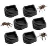 6pack Plastic Feeding Dishes for Small Pet Such As Spiders and Hermits Crabs with Simple Maintenance and Safe