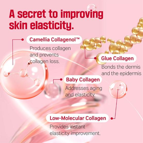 ROUND LAB Camellia Deep Collagen V Lifting Gel Mask 10g*4EA