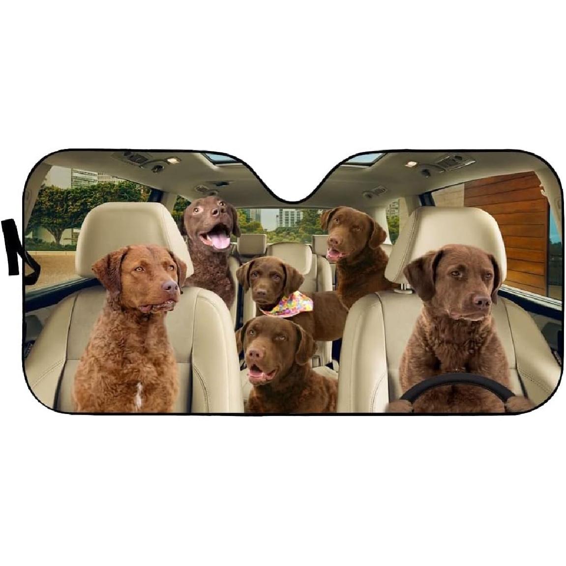 

Windshield Sun Shade Chesapeake Bay Retriever Heat Shield Sun Shade Upgrade Hardened Keeps Vehicle Cool for Most Sedans SUV Truck Automotive 51x28in 51 x 28