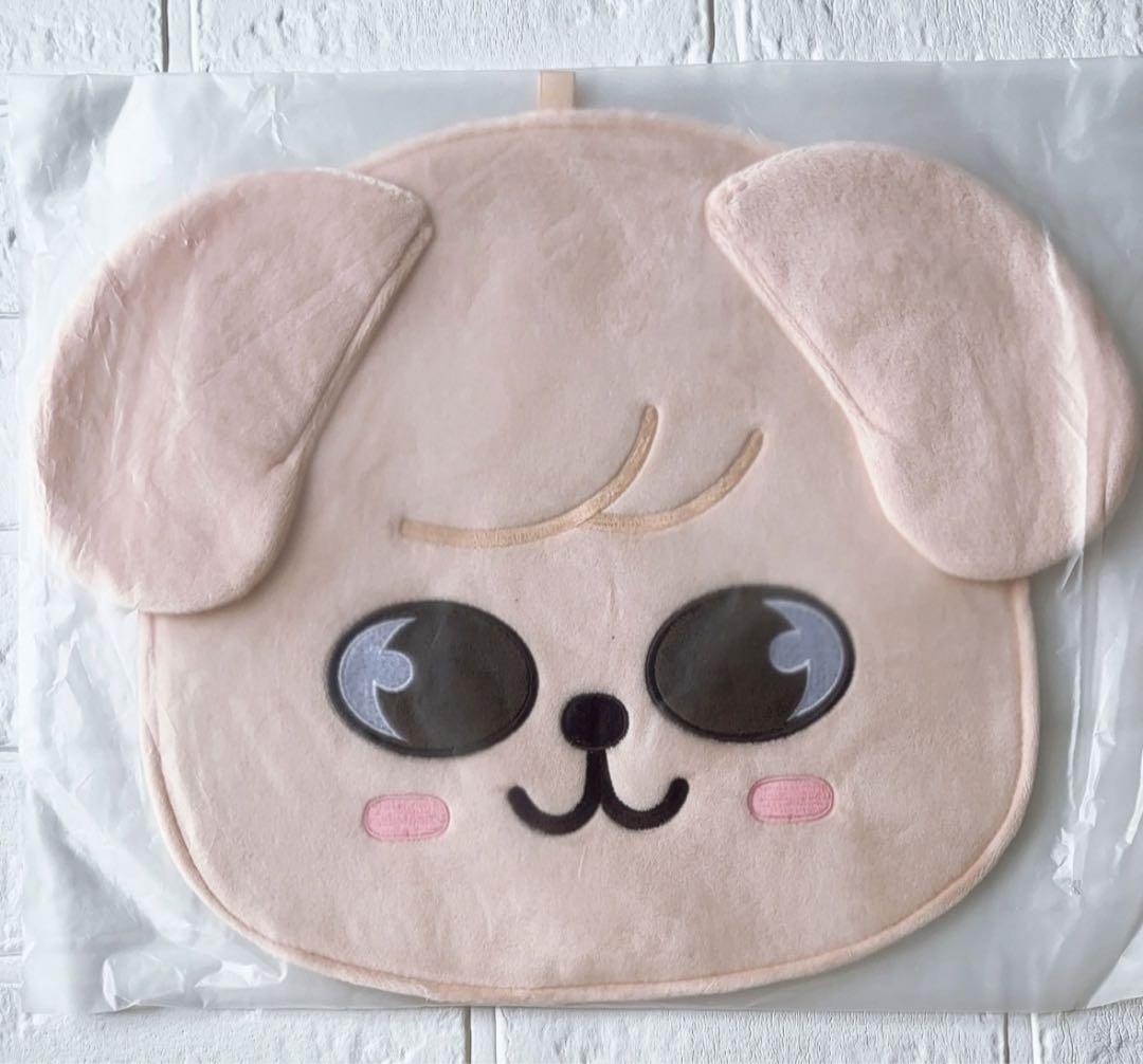 

[Б/У] Straykids Щенок Сынмин Фан-обложка Фан-кейс