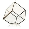 Glass Terrarium Cube On Corner