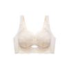 Lace Bra Women's Beautiful Back Fixed Cup Gathering Bra Anti Sagging Bra Anti Glare Bra Sexy Seamless Bra