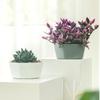 Thickened 6 Cell Round Nursery Pot Trays with 6Inch Pots Plant Shuttle Tray For Indoor And Outdoor Gardening Use