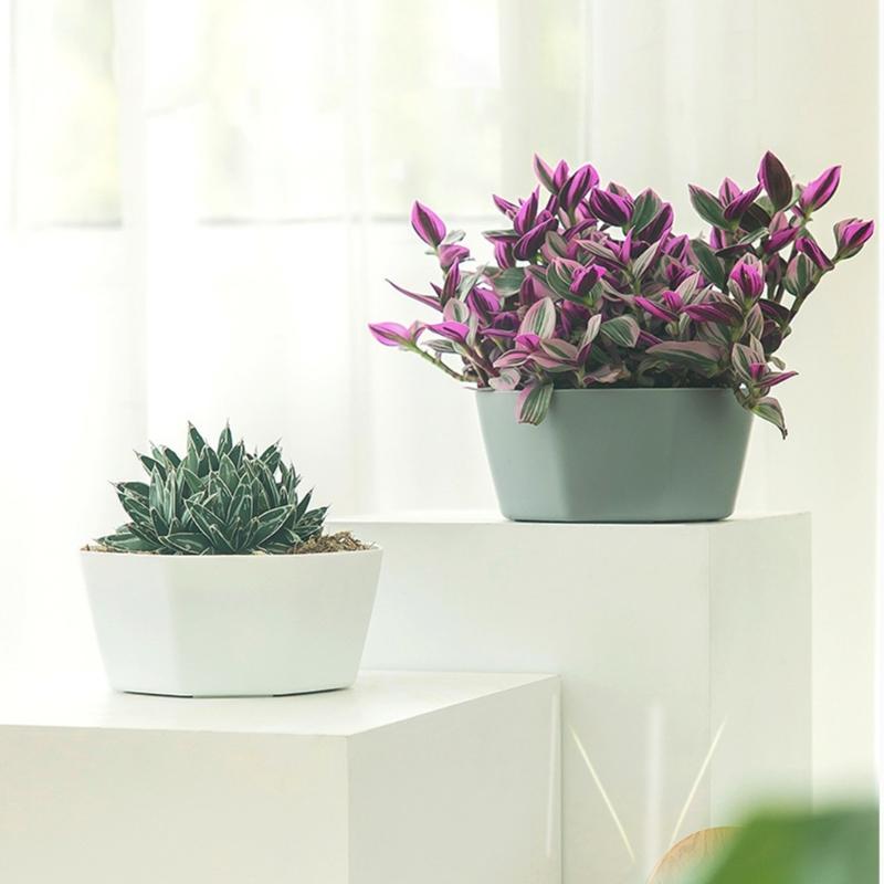 Thickened 6 Cell Round Nursery Pot Trays with 6Inch Pots Plant Shuttle Tray For Indoor And Outdoor Gardening Use