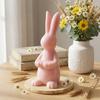 Ins Rabbit Silicone Mold, DIY Aromatherapy Candle & Plaster Figurine Mold, Minimalist Home Desktop Decor Mold