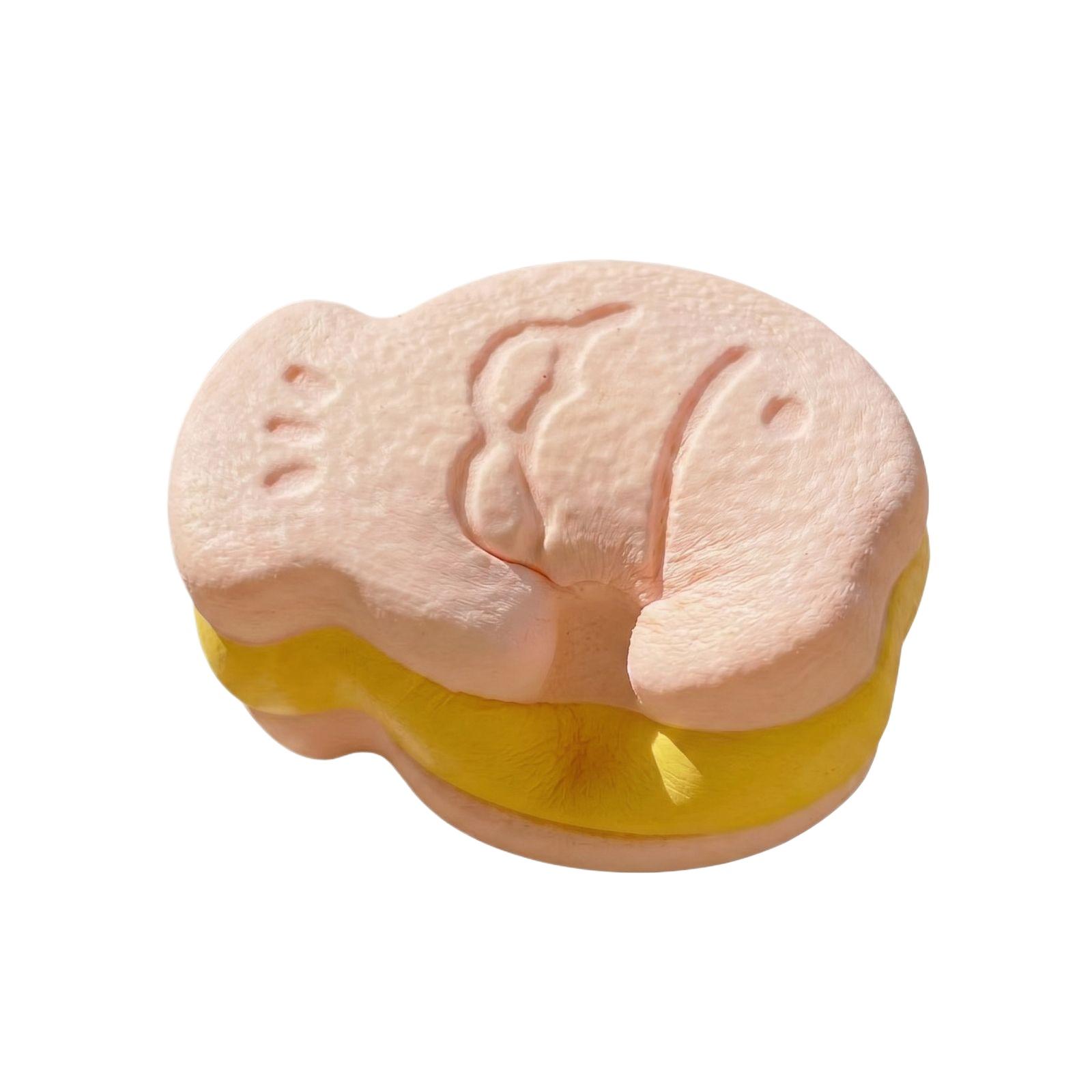 

Realistic Taro Taiyaki (fish-shaped Cake) Stress-relieving Toy, A Stress-relieving Ball Toy Suitable For Both Boys And Girls. One Size розовый