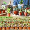 20PCS Garden Decor Garden Supply Plastic Nursery Pot Planter Seed Trays Plant Pots Flower Bucket