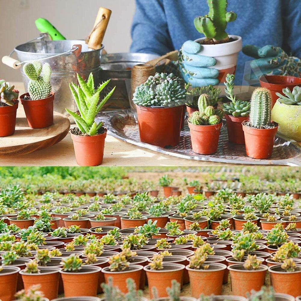 20PCS Garden Decor Garden Supply Plastic Nursery Pot Planter Seed Trays Plant Pots Flower Bucket
