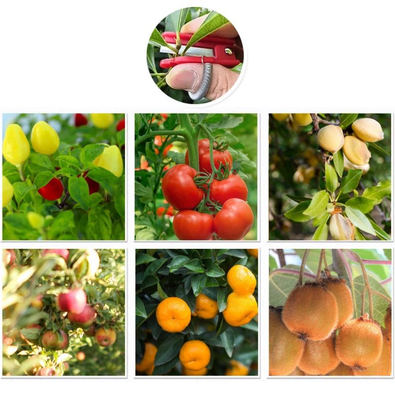 4PCS Lightweight Finger Gardening Shears Picking Mini Cutter Multifunctional Thumb Knife For Plant Leaf Trimming Fruit Picking And Garden Pruning Task