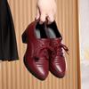 Pantofi de modă Confortabili din Piele Moale Pantofi cu Platformă pentru Femei Primăvară 2024 cu Șireturi Toc Mediu Bloc Pantofi Oxfords Pentru Birou Mamă Muncă