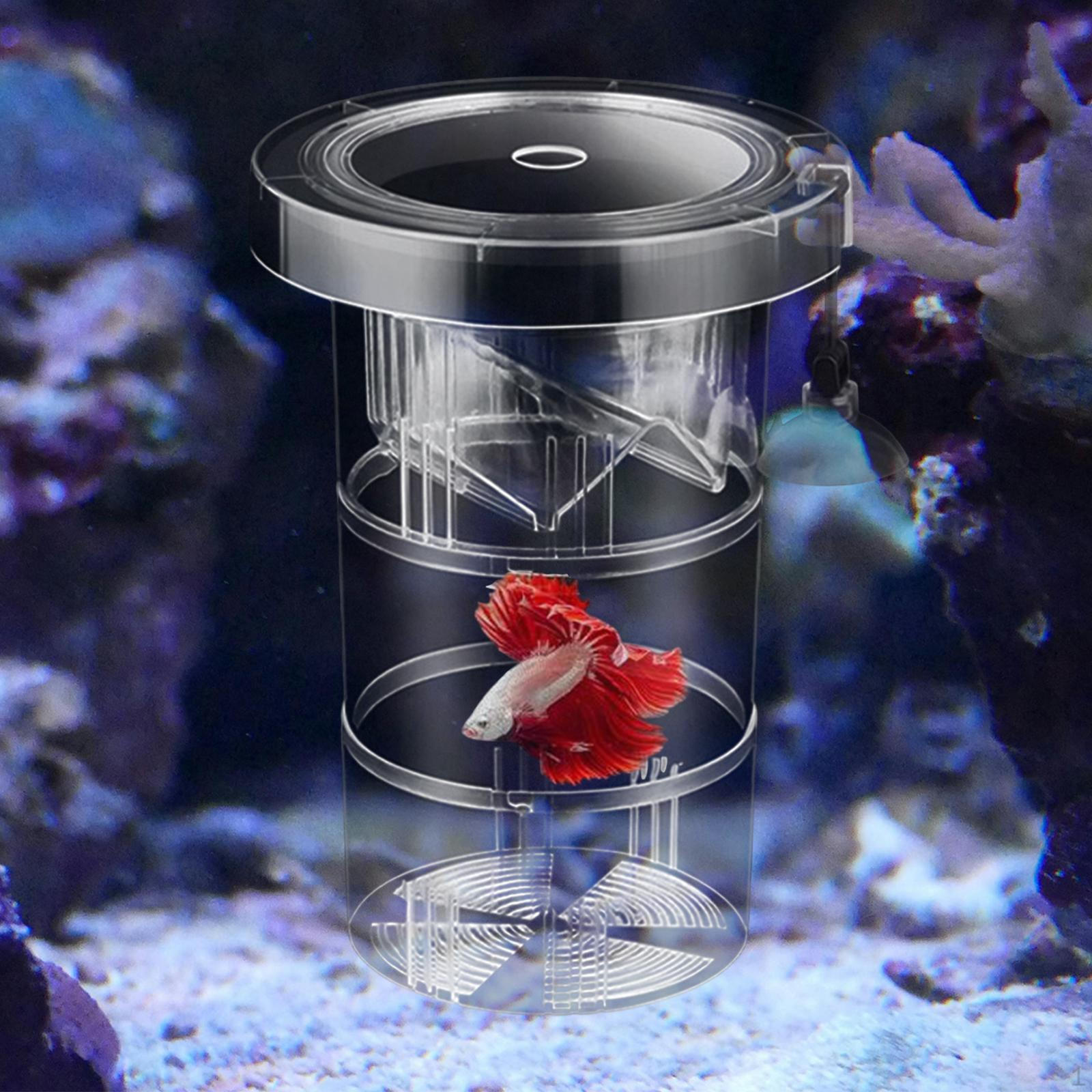 

Аквариумный контейнер для разведения рыб с изоляционным разделителем 17x12cm