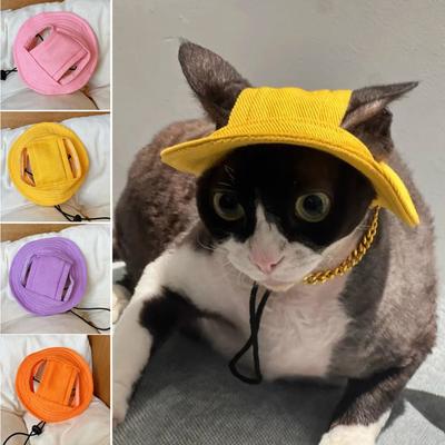 Vêtements et chaussures – Bonnets pour chien