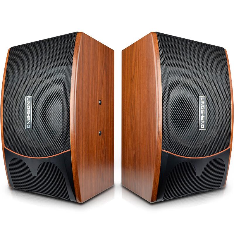 LINGSHENG Professional KTV Wall-Mounted Audio Speaker