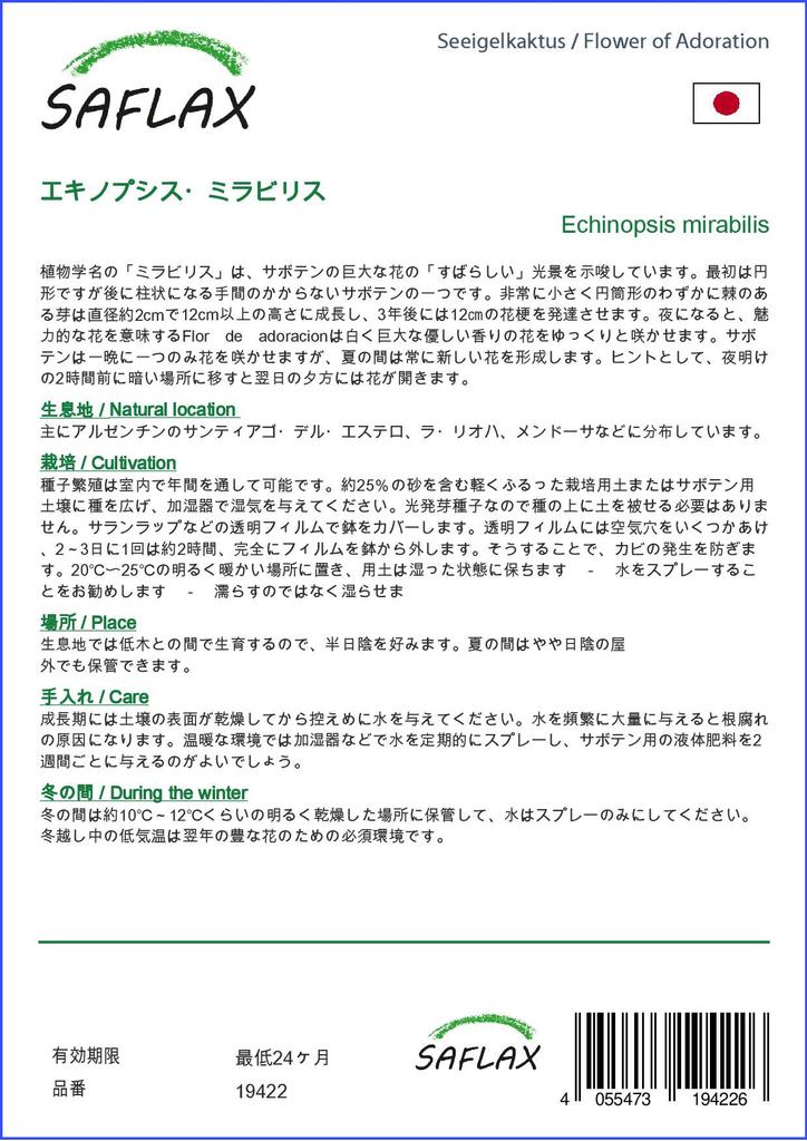 SAFLAX Garden In the Bag - Flower of Adoration - 40 Seeds - With Substrate In a Fitting Stand Up Bag - Echinopsis Mirabilis