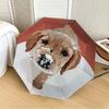 1pc Puppy Automatic Open/Close Umbrella, Formal Events - Ideal Gift for Family or Friends, Outdoor Accessory yy251211210