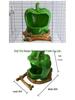 Parrot Cage Anti-Spill Water & Food Feeder Set for Cockatiels and Budgies