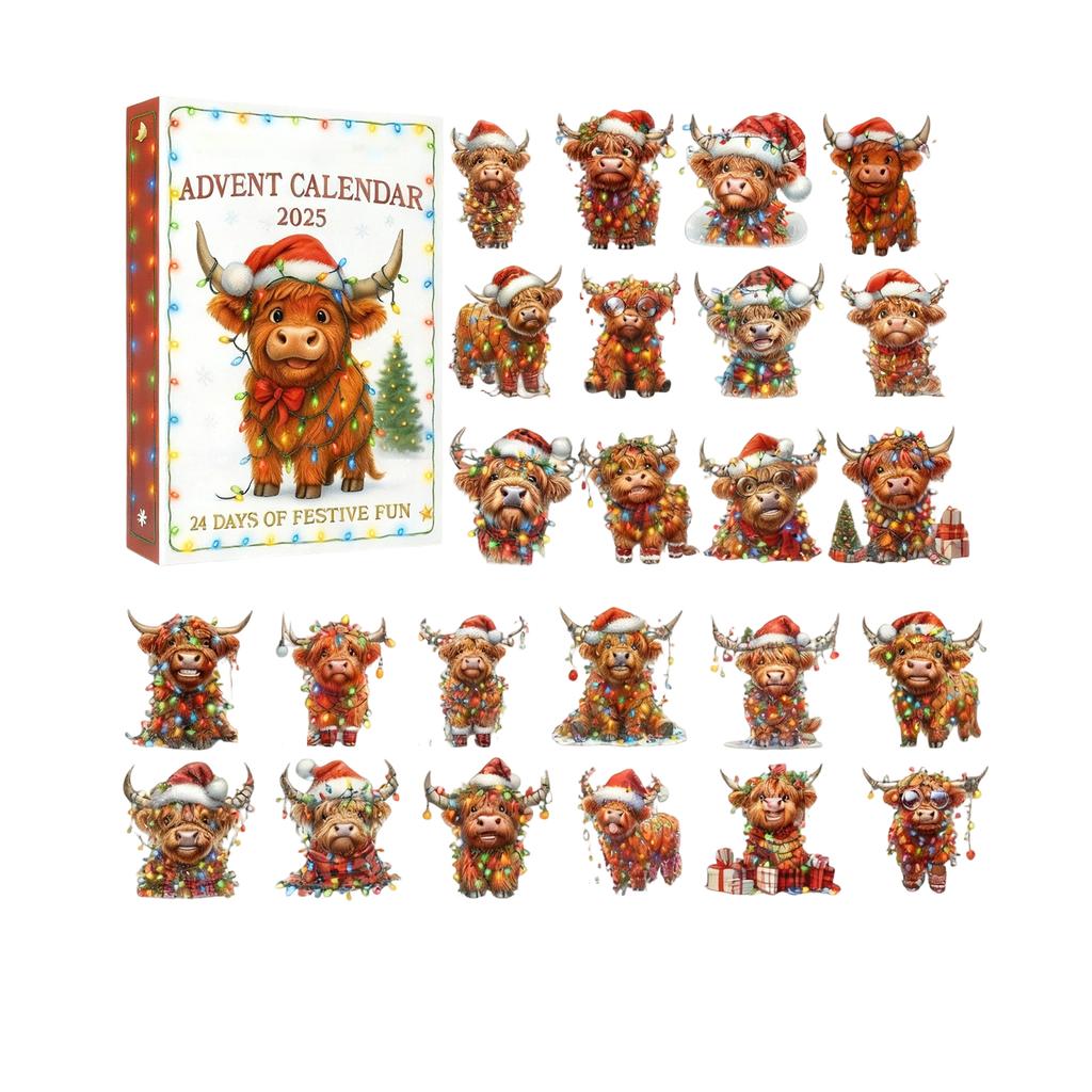 2D Plane+airplane Box +24PC+ Fitness Decoration Advent Christmas Countdown Box Calendar