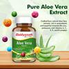 Baidyanath Aloe Vera 60 Tablets 250 Mg Daily Wellness Supplement Skin Care Support Routine Vegetarian Pack Of 1