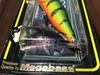 Megabass POP-X SP-C Rasta Peacock Limited Color Topwater Lure Sealed Rare