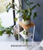 Yamazaki Jitsugyo 5983 Humidifier Stand White Approx. W25XD25XH80cm Tower Accessory Holder Plant Holder