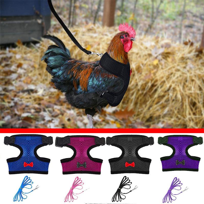 Farm Cock Training Harness Fashion Chicken Duck Vest Pet Leash Breathable Hen Belt Kippen Duck Walking Vest Chickens Accessories