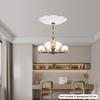 2-in-1 Switch Chandelier Hoist Lift System, 100kg/220lbs Capacity, Modern White Ceiling Light Lift, Chandelier Elevator Hoist