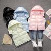Kids' Hooded Down Cotton Vest: Thickened Sleeveless Jacket for Girls (Autumn/Winter).