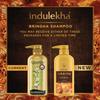 Indulekha Bringha Shampoo For Hair Fall Control With Ayurvedic Herbs And Rosemary Oil, Paraben Free Gentle Cleanser, 580ml