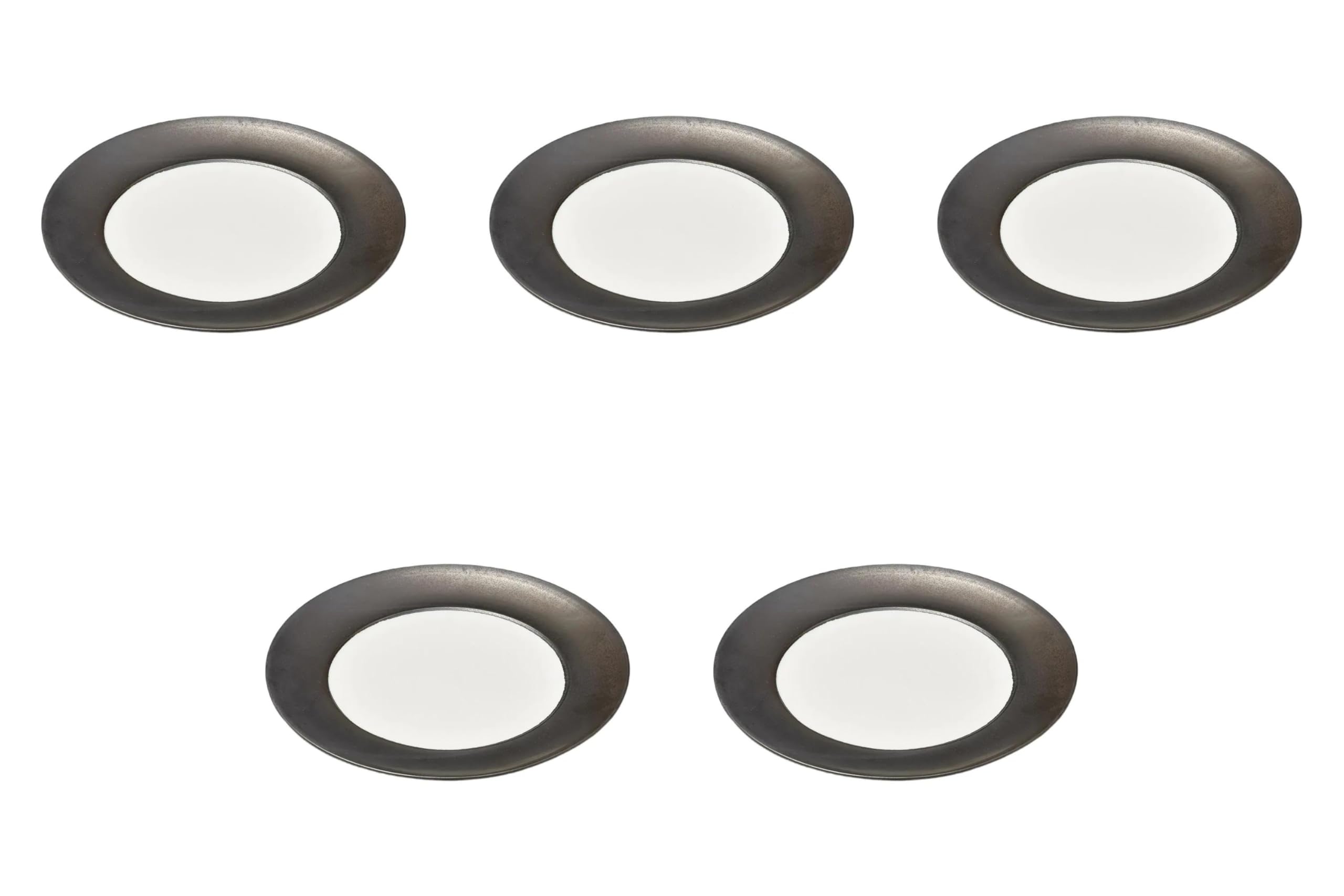 

Set of 5 Iron Kannon Rim Plates x Large Plates Setomonohonpo 9-inch [28.5 2.6 cm]