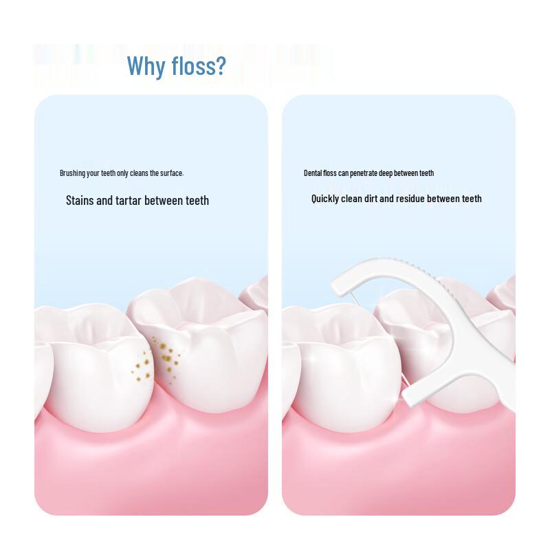 Xiao Lu Mama Portable Individually Wrapped Dental Floss Picks