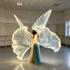 Light Up LED Butterfly Wings Glowing Belly Dance Wings Luminous Isis Wing with Stick Carnival Wedding Party Stage Costume