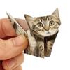 Creative Diy Paper Cats Handmade Diy Paper Cat Dog Dinosaur Folding Animal Folding Paper Set Fun Origami Craft Kit for Adult Kid