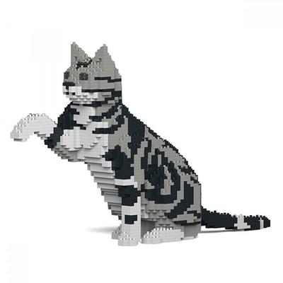 JEKCA Premium Cat Block, 2 americké krátkosrsté natahující ruce, oblíbené korejské hračky
