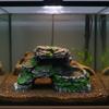 Turtle Basking Platform Resin Craft Turtle Sunning Dock Rock Hideout Cave Multi-Level Design Pet Habitat Decor