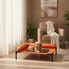Pet Bed Waterproof Elevated Dog Cot with Mesh for Indoor Use
