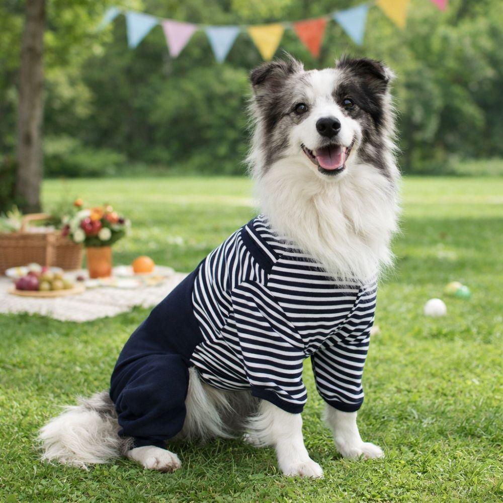 Fashion Four Legged Pet Dog Jumpsuit Warm Windproof Dog Pullover Hoodie Thickened Comfortable Pullover Coat Daily Walk