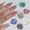 Abalone Shell Flakes for Nail Art,Mixed Size 3D Abalone Shell Fragments,Colorful Irregular Abalone Seashell Slices Nail Glitter Manicure DIY Accessory