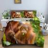 Orangutan Duvet Cover King Queen Size Cute Monkey Bedding Set Palm Leaves Tropical Botanical Polyester Comforter Cover for Adult