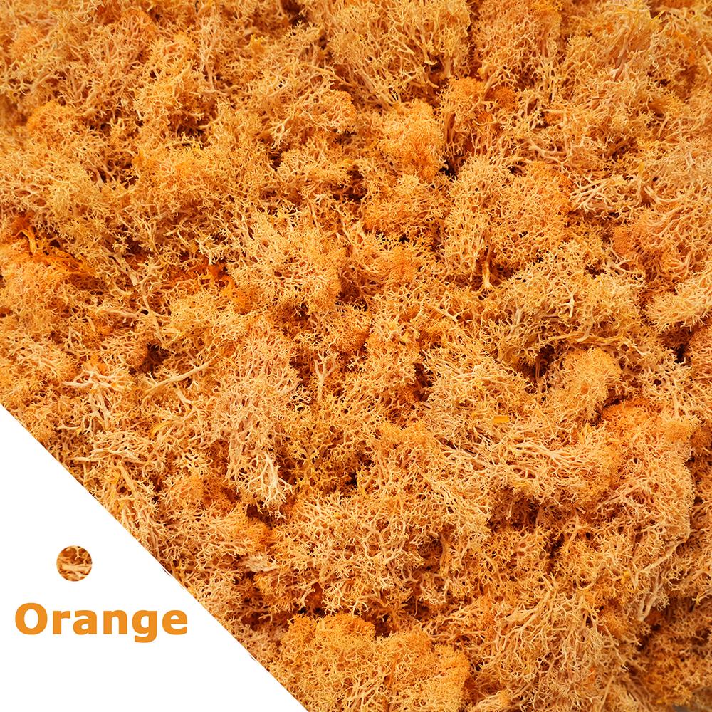 500g/1000g Mini Landscape Moss Grass Eternal Life Fake Grass Artificial Green Plants Home Garden Decoration DIY Crafts