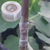 1 Rolka 2/2,5/3 cm Taśma do szczepienia Pe Folia Samoprzylepna Ogród Drzewa Rośliny Sadzonki Winorośl Pomidor Akcesoria do szczepienia Rozciągliwa