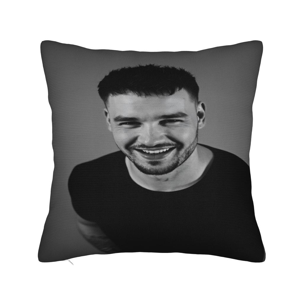 L-Liam Payne Sänger Kissenbezug Weiche Kissenhülle Moderne Kissenbezüge für Wohnzimmerstuhl