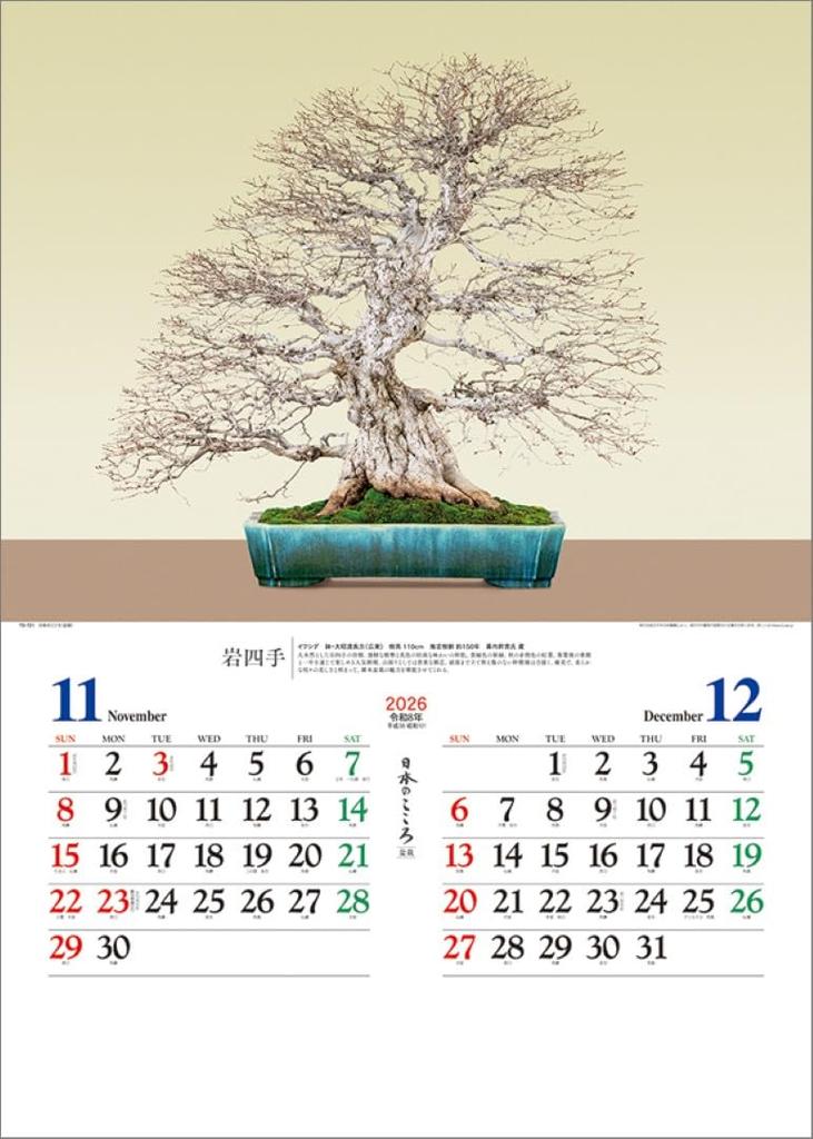 Japanese Spirit 2026 Wall Calendar (Bonsai) TD-721 CL26-1039